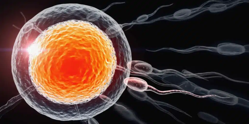 Procedimiento de vasovasostomía en Costa Rica para recuperar la fertilidad masculina